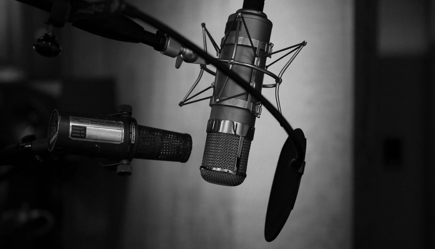 CanadianVoiceTalents.com CanadianVoiceTalents.com